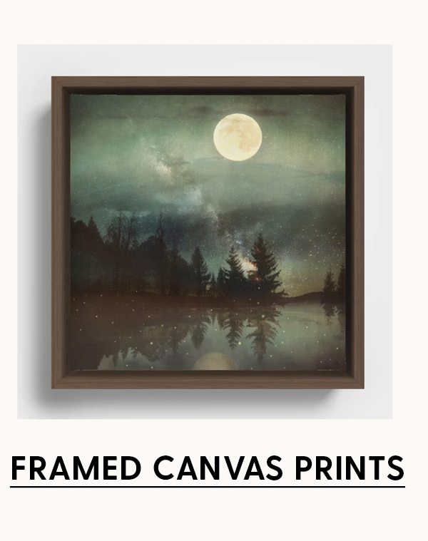 Shop Framed Canvas Prints