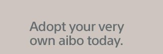 Adopt your very own aibo today.