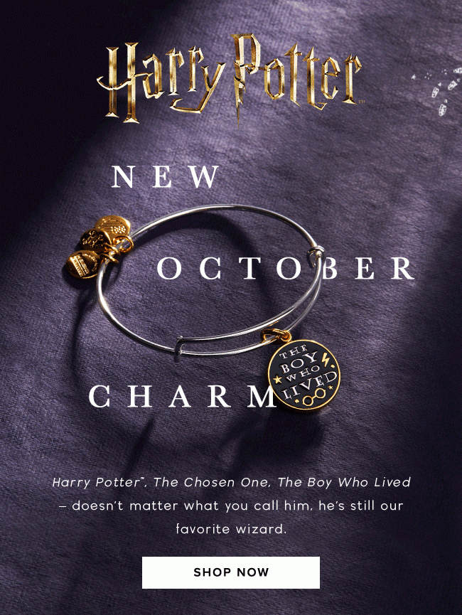 Shop a new Harry Potter™ bangle each month featuring favorite quotes from the series.