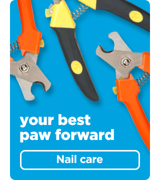 Shop nail care >