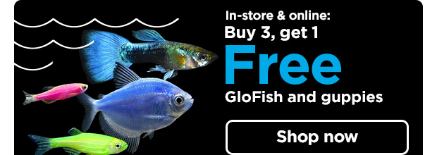 In-store & online: Buy 3, get 1 Free GloFish and guppies. Shop now. 