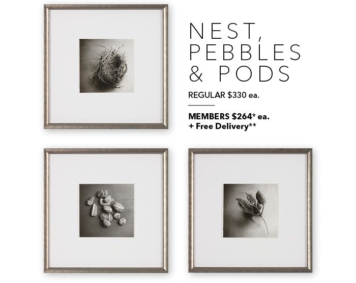 Shop the Nest, Pebbles, and Pods photography >