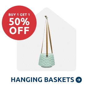 Hanging Baskets Shop Now