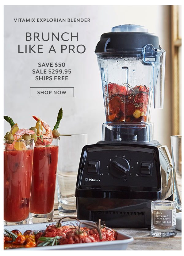 Vitamix Explorian