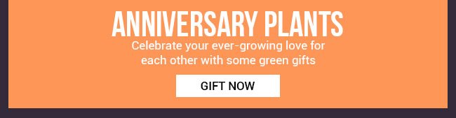 plants-anniversary