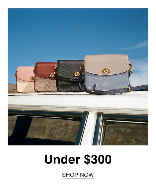 Under $300. SHOP NOW