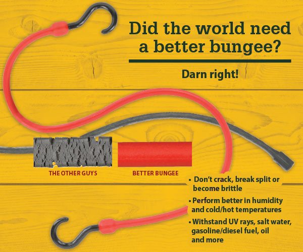 Did the world need a better bungee? Darn right!