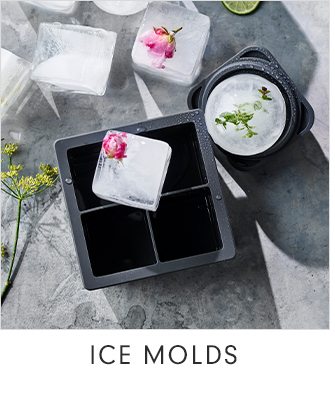 ICE MOLDS