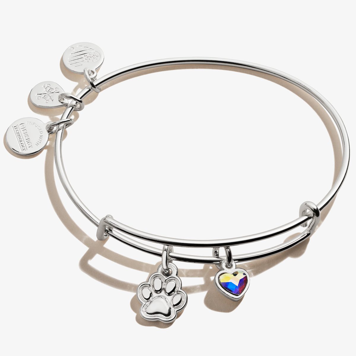 Paw Print Duo Charm Bangle