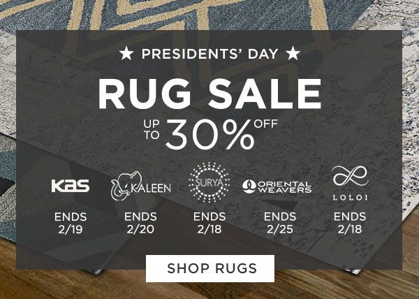 Presidents' Day - Rug Sale - Up To 30% Off - Kas Ends 2/19, Kaleen Ends 2/20, Surya Ends 2/18, Oriental Weavers Ends 2/25, Loloi Ends 2/18 - Shop Rugs