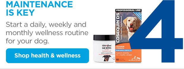 4. Maintenance is key. Start a daily, weekly and monthly wellness routine for your dog. Shop health & wellness.