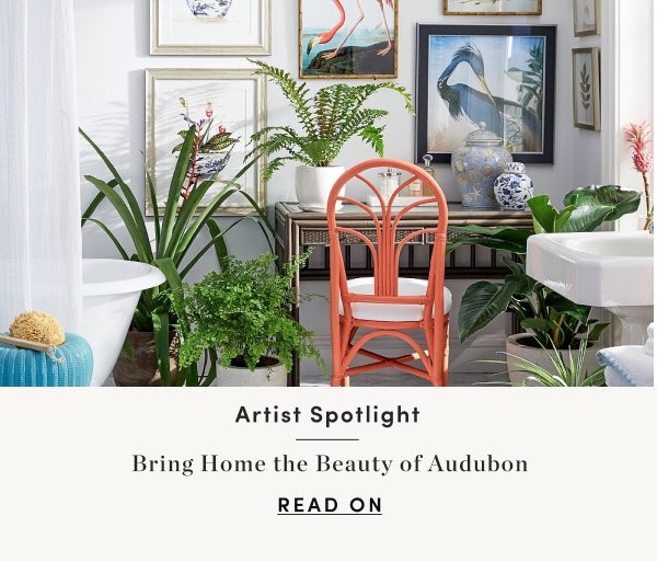 Bring Home the Beauty of Audubon