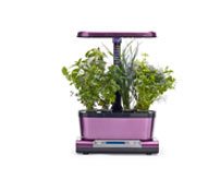 AeroGarden Harvest Elite WiFi