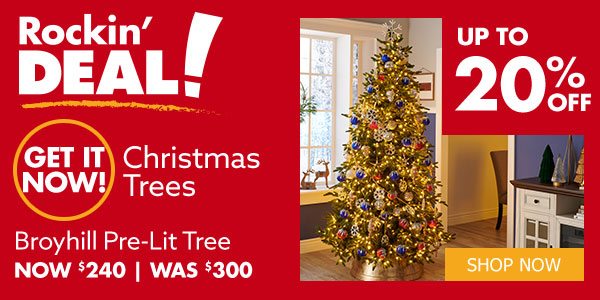 Christmas Trees Up To 20% Off