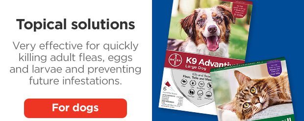 Topical solutions. Very effective for quickly killing adult fleas, eggs and larvae and preventing future infestations. For dogs.