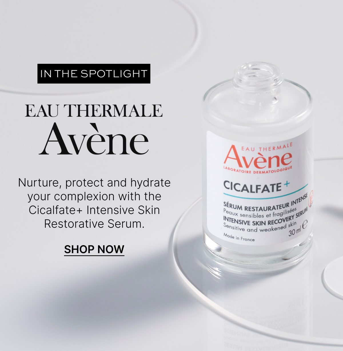 IN THE SPOTLIGHT AVENE