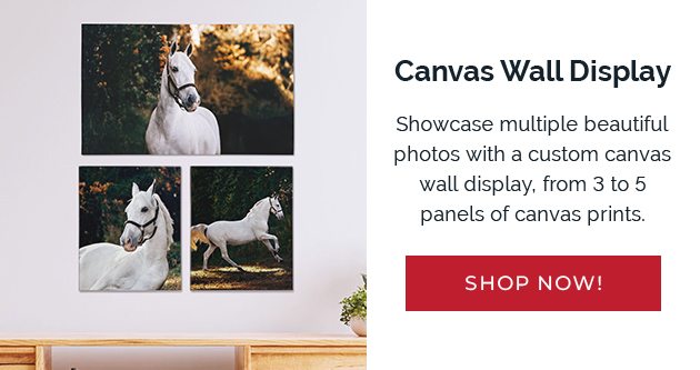 Canvas Wall Display