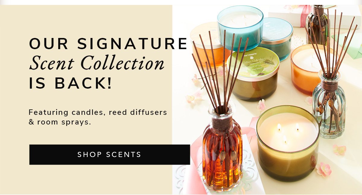 Our signature scent collection is back! | SHOP SCENTS