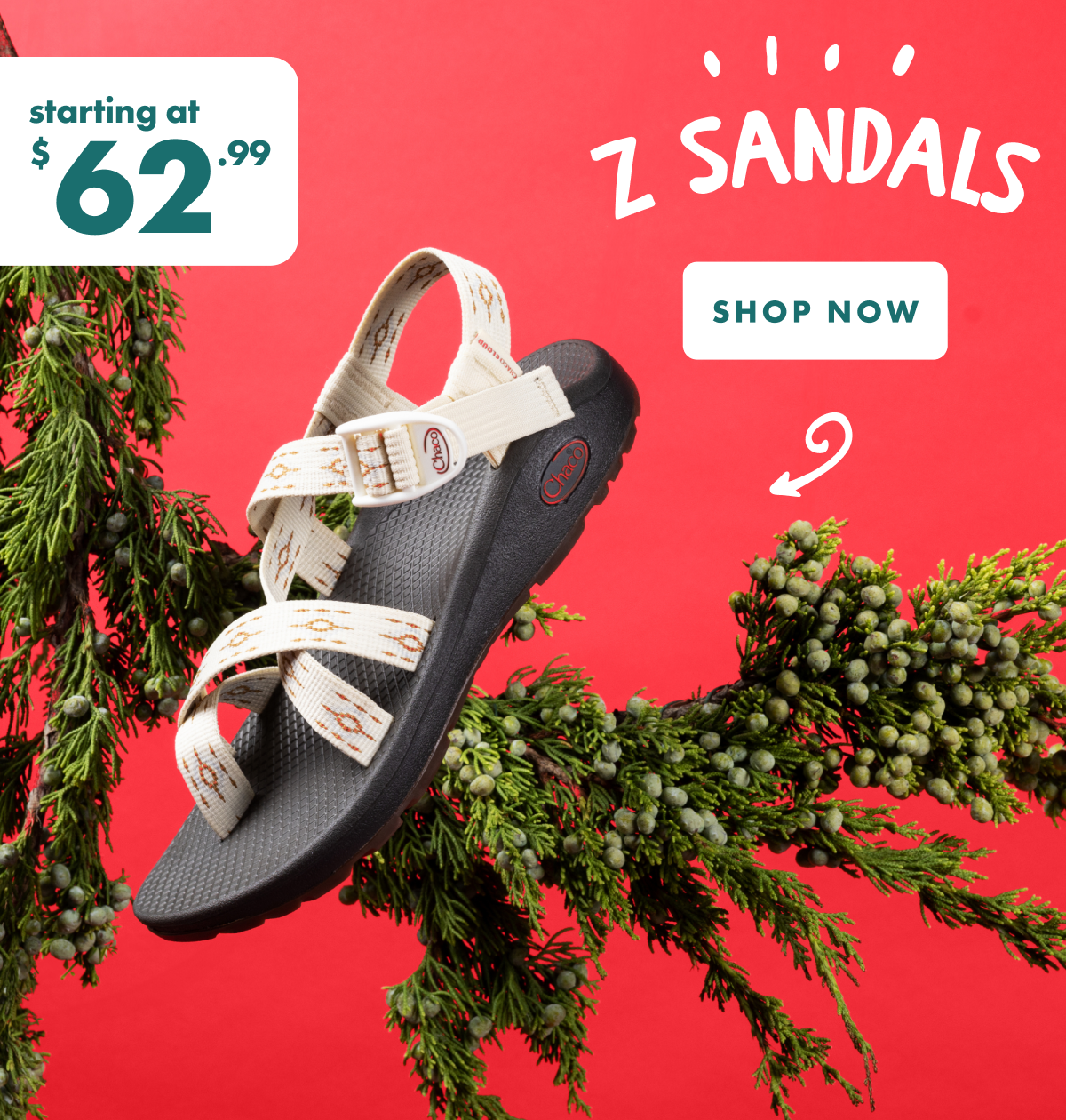 Z/SANDALS - SHOP NOW