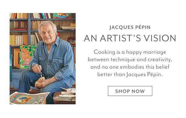 An Artist’s Vision