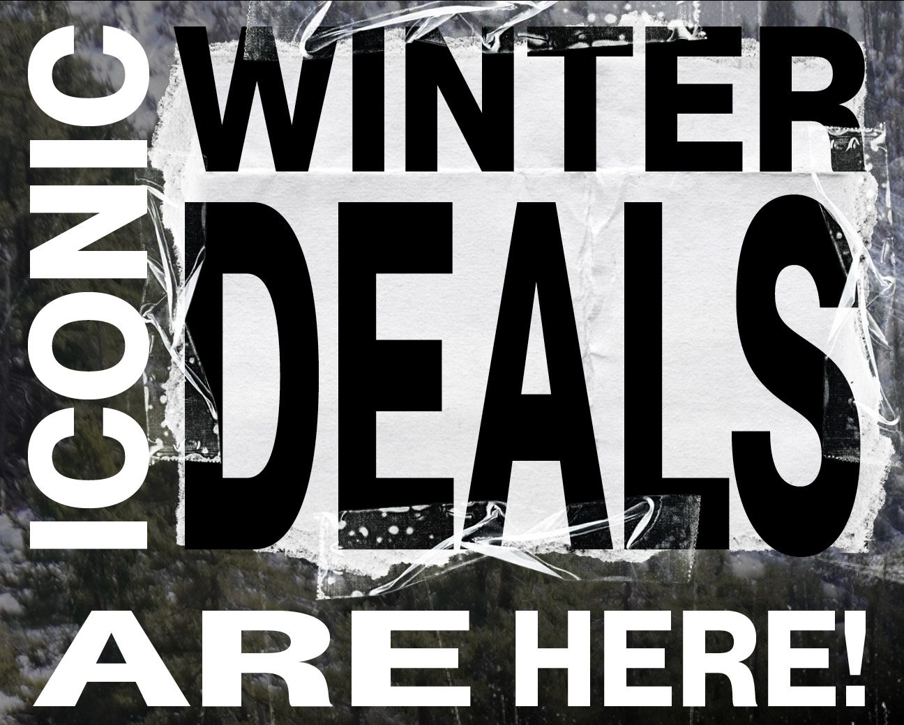 Winter Deals 