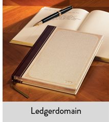 Shop Ledgerdomain Journal