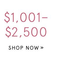 Shop Gifts $1,001–$2,500