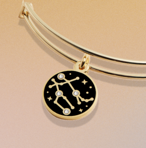 Gemini Zodiac Charm Bangle | Shop Now