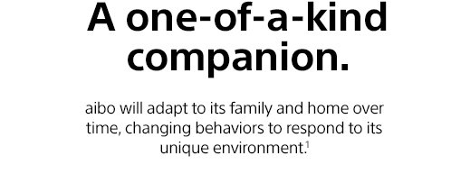 A one-of-a-kind companion. aibo will adapt to its family and home over time, changing behaviors to respond to its unique environment.¹