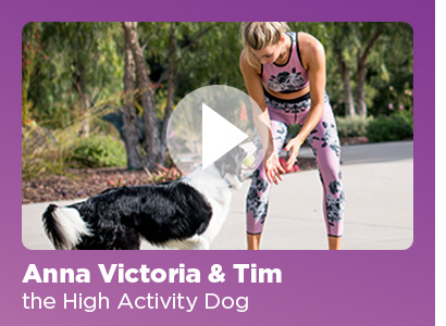 Anna Victoria & Tim the High Activity Dog. 
