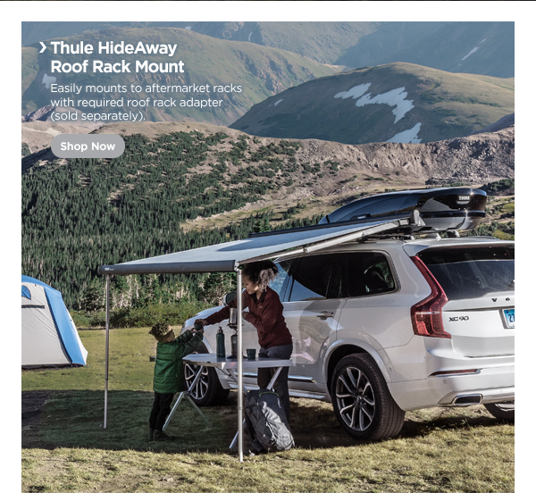 Shop Thule HideAway Roof Rack Mount