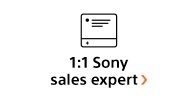 1:1 Sony sales expert