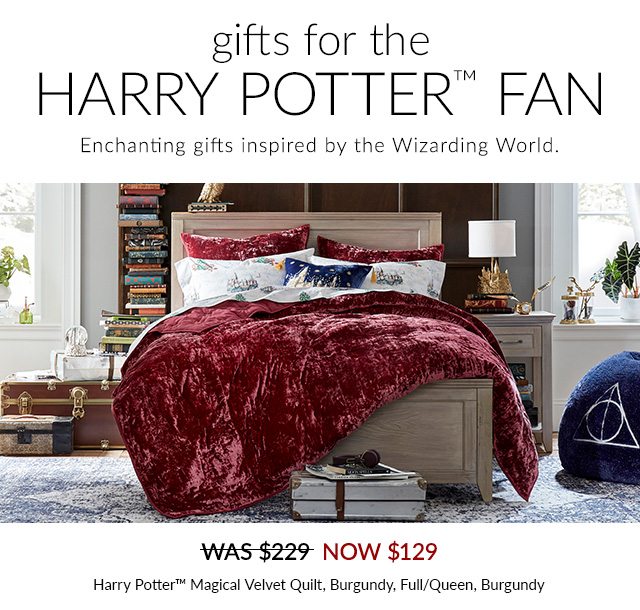 GIFTS FOR THE HARRY POTTER FAN