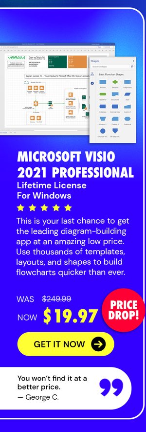 Microsoft Visio 2021 Professional (PC)