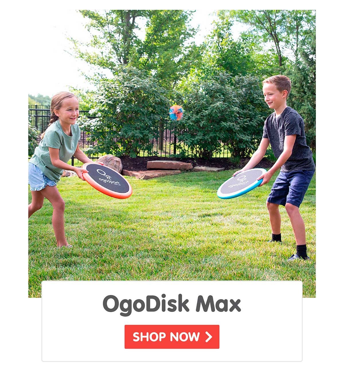 OgoDisk Max