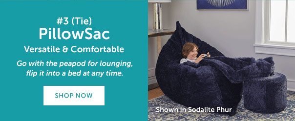 #3 (Tie) PillowSac | Versatile & Comfortable | Go with peapod for lounging, flip it into a bed at any time. | SHOP NOW >>
