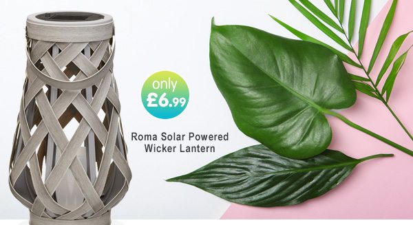 Roma Solar Powered Wicker Lantern