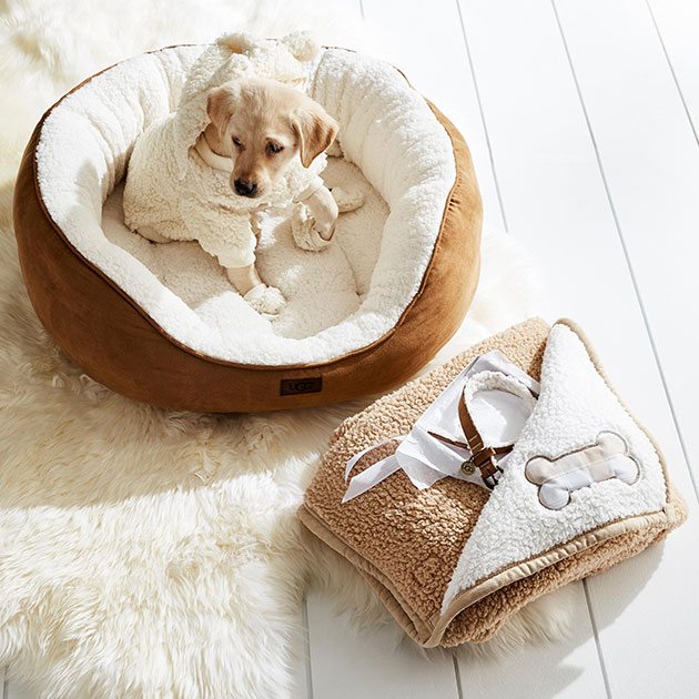 ugg bed for dogs