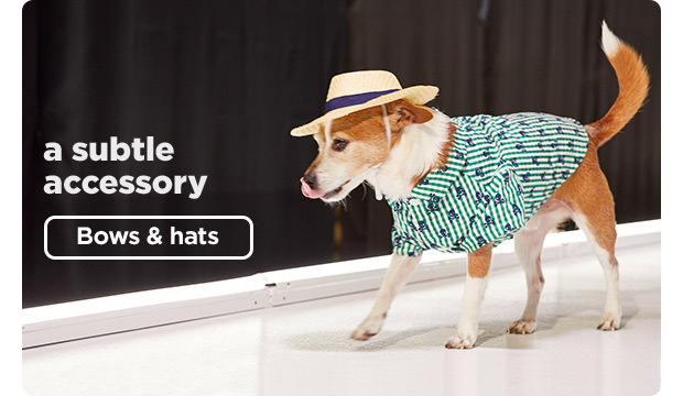A subtle accessory. Bows & hats.
