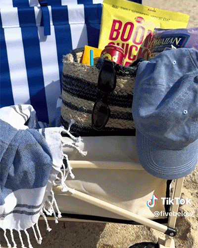 beach wagon gif