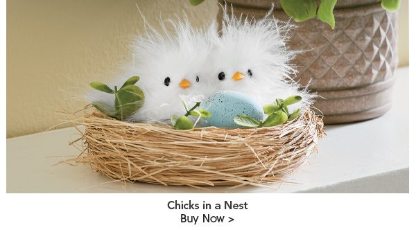 Chicks in a Nest Buy Now