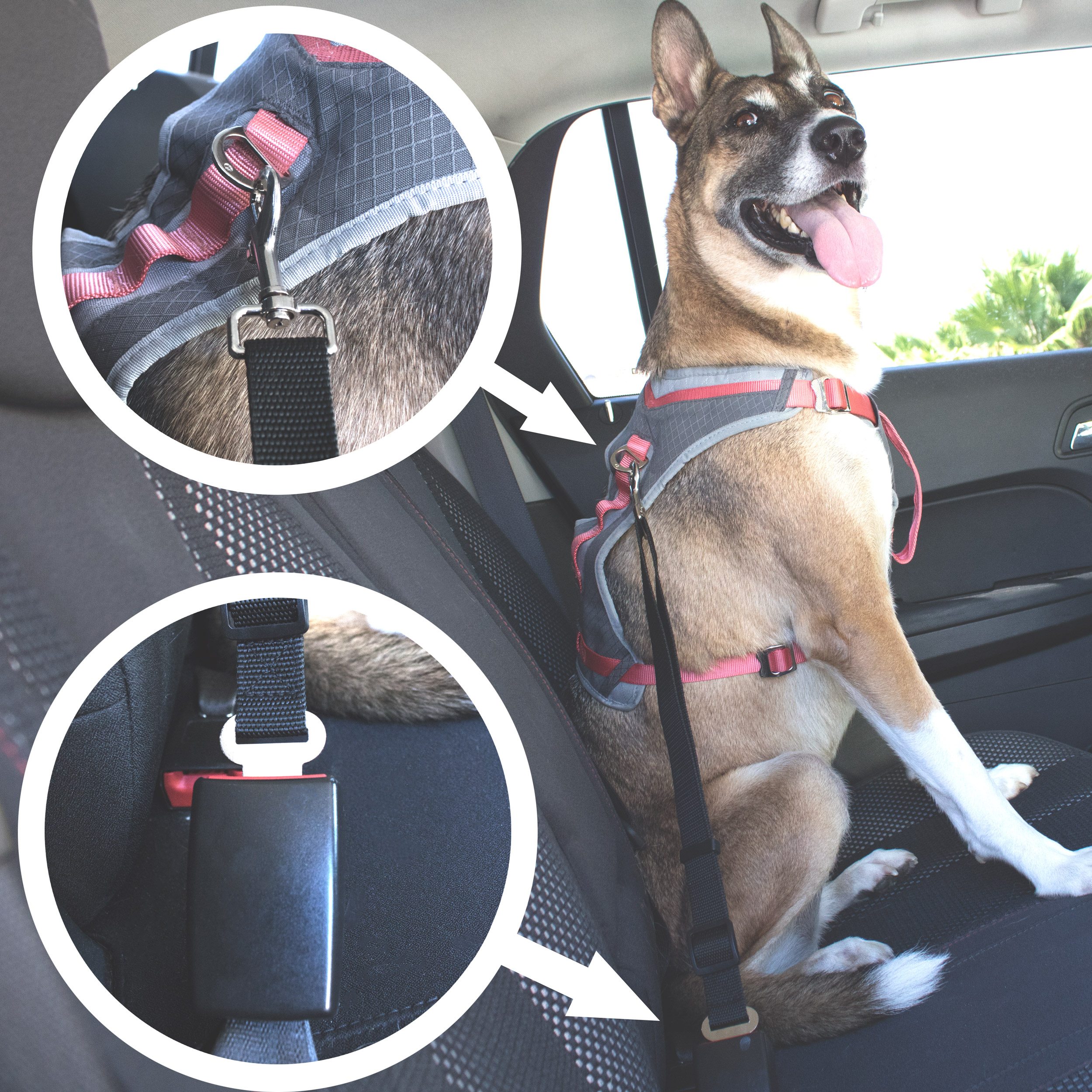Image of Heavy-Duty Adjustable Dog Seat Belt