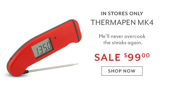 Thermapen MK4