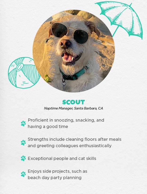 Scout - Naptime Manager