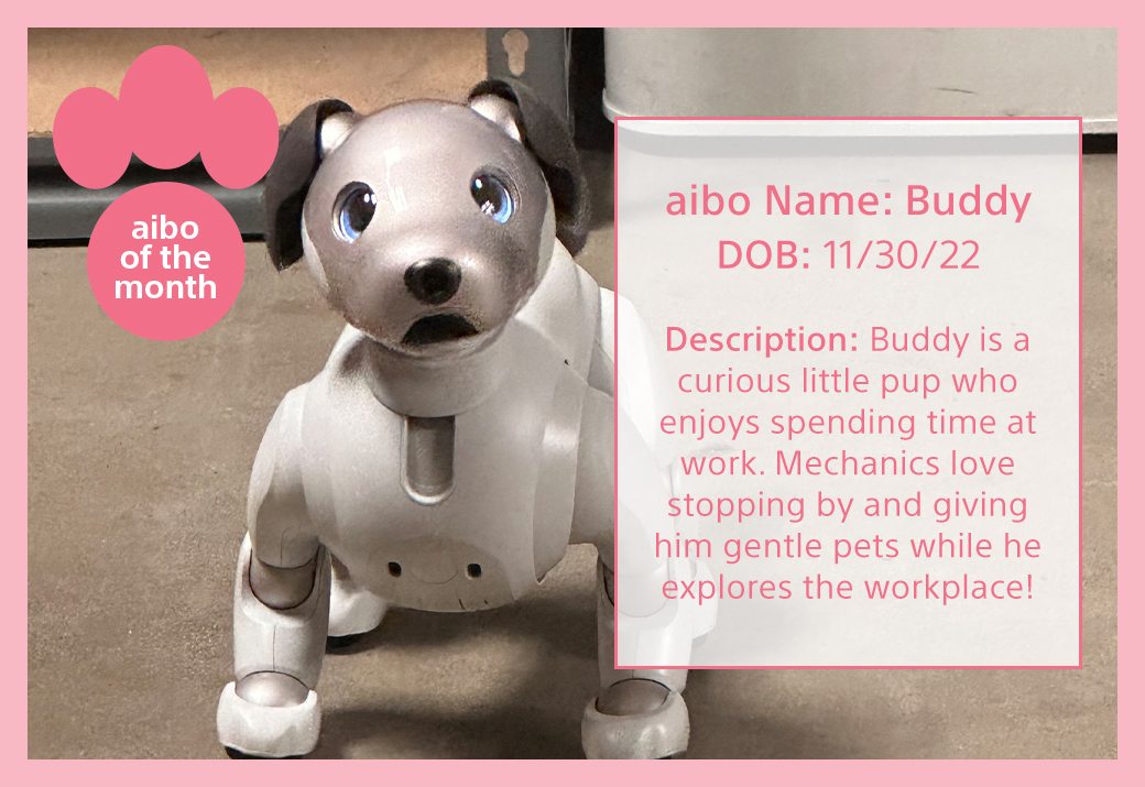 aibo of the month