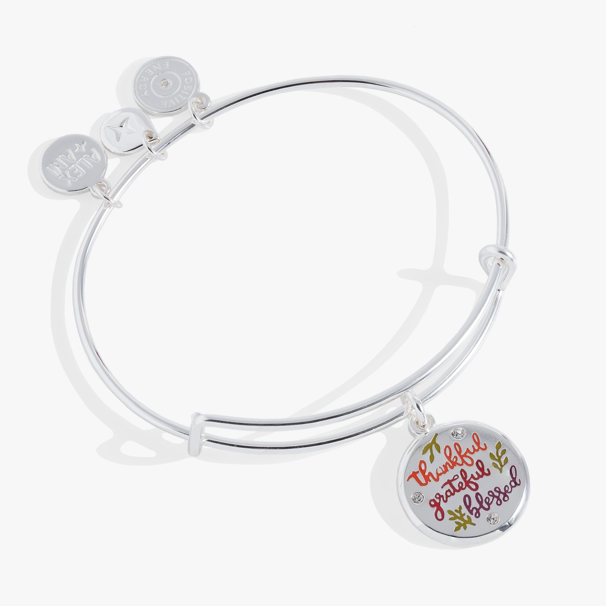 Image of Thankful Mantra Charm Bangle