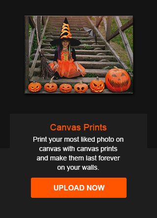 Canvas Prints