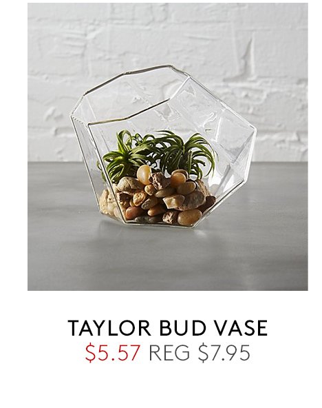 taylor bud vase