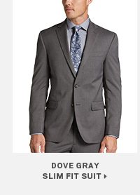 Dove Gray Slim Fit Suit>