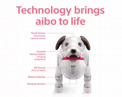 Technology brings aibo to life | Touch Sensor | Forward Facing Camera | ToF Sensor | Motion Detector | Ranging Sensors